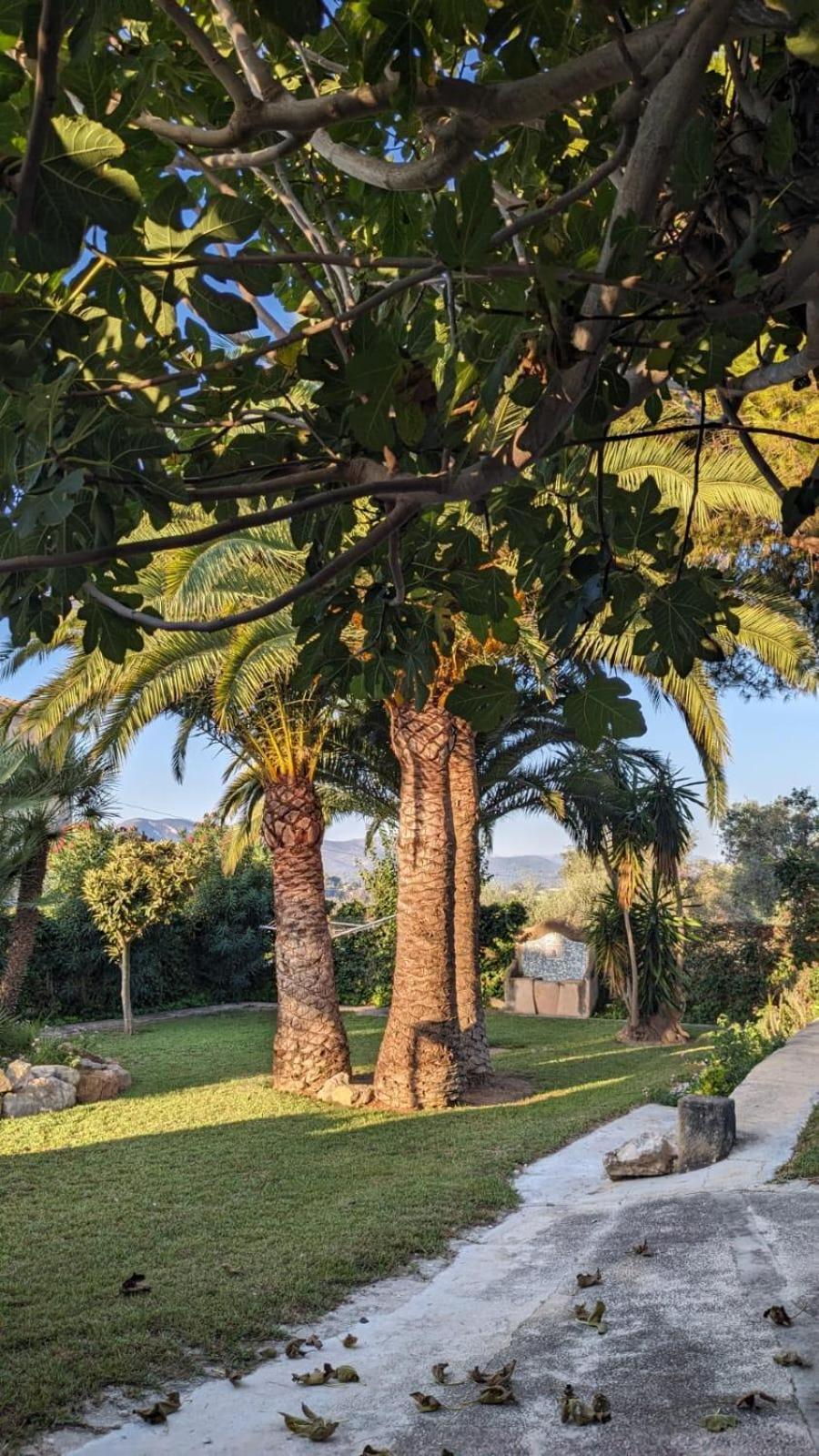 Villa Ca Tosca Jávea Esterno foto